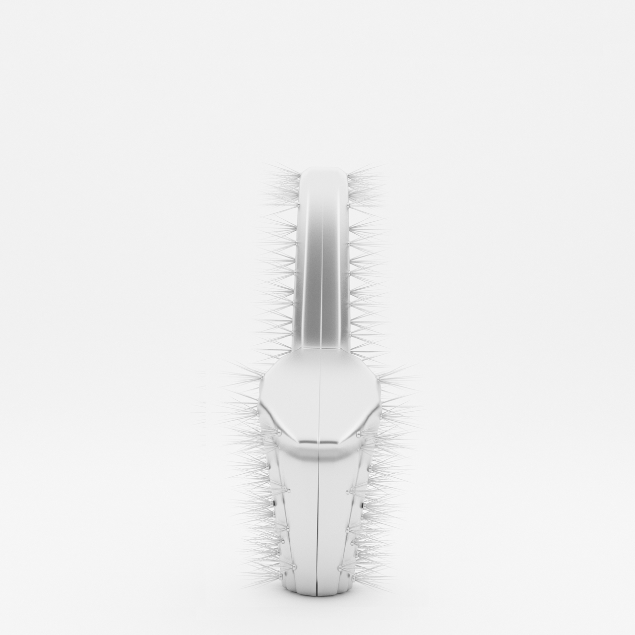saxo_cactus0000