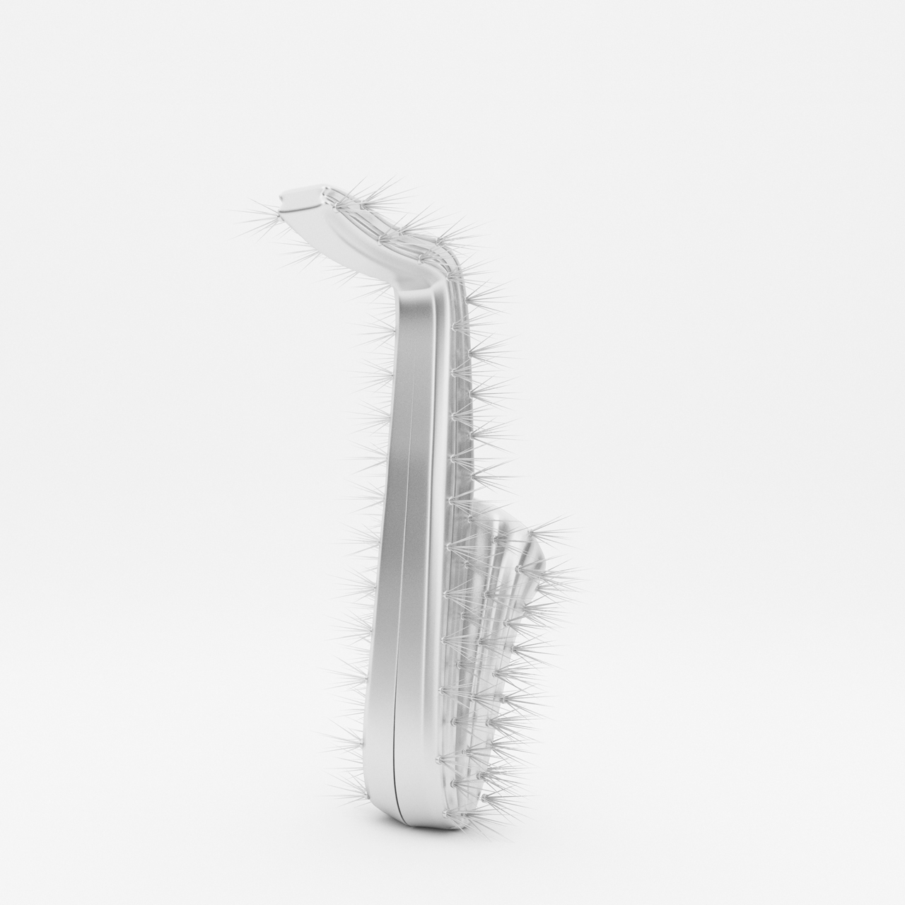 saxo_cactus0004