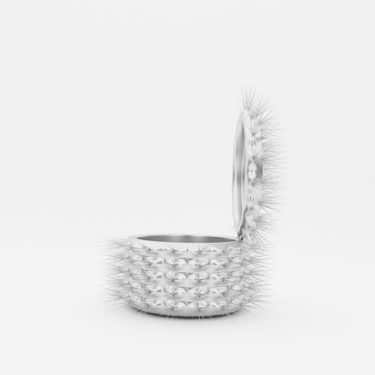 cactus_tambor0005