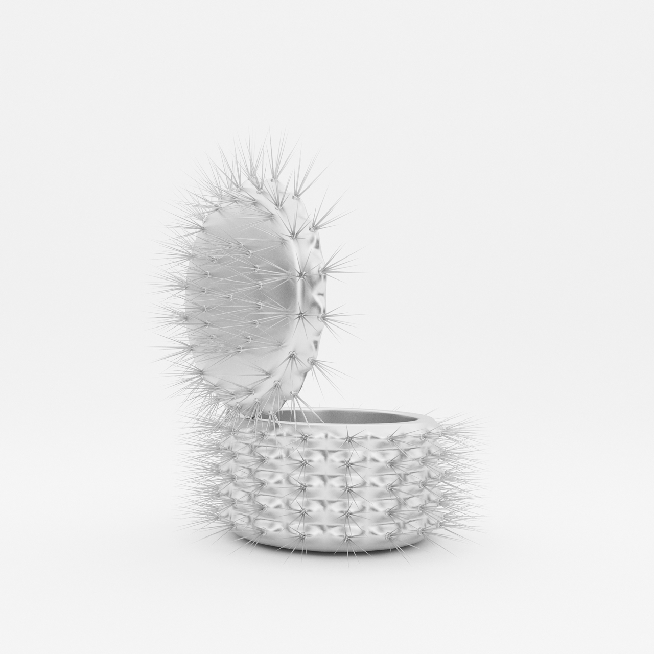 cactus_tambor0008