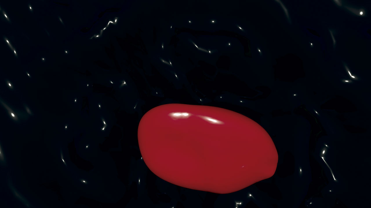 33a_percusion